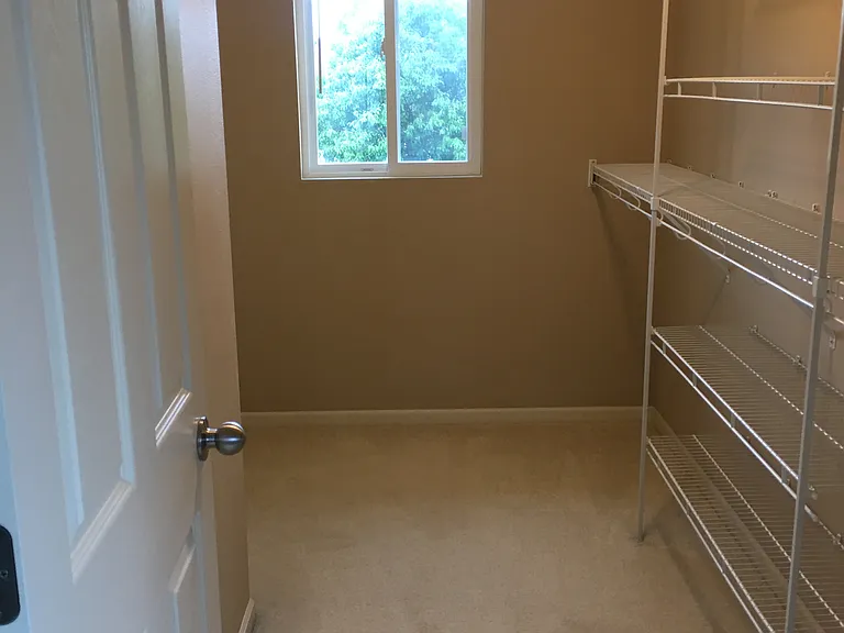 Master walk-in closet