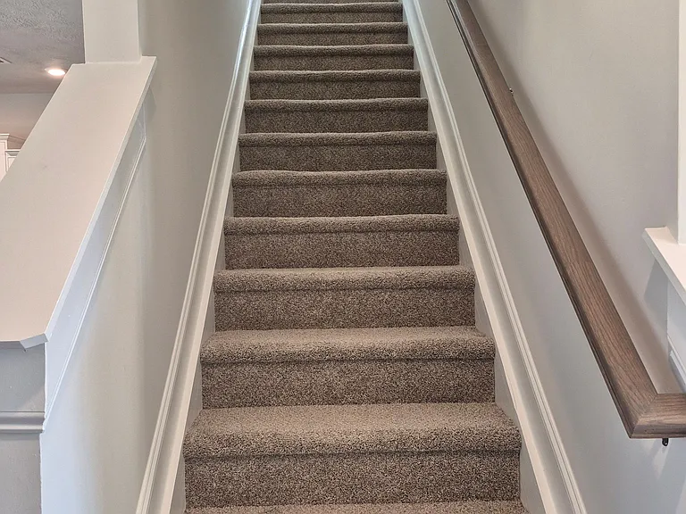 Carpeted