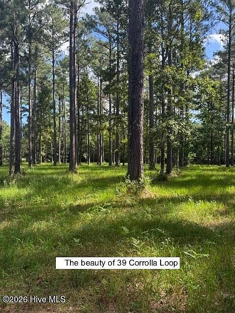 1st image of 39 Corrolla Loop Road LOT 69/69A