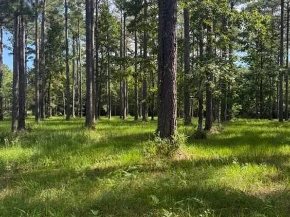 39 Corrolla Loop Road LOT 69/69A, Oriental, NC 28571