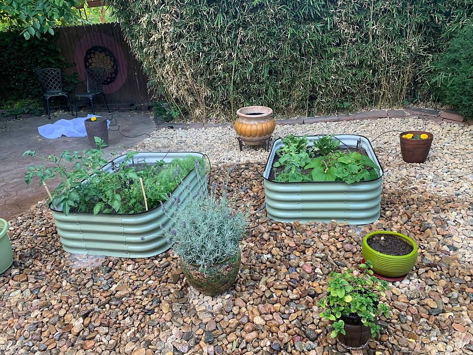 Private, fenced in back yard has garden boxes - cultivate your own garden this summer!