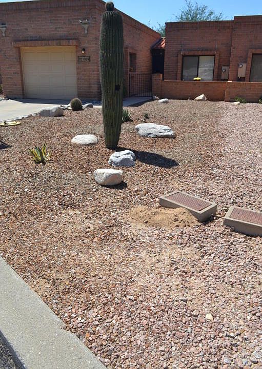 1st image of 1924 W Misty Hollow Ln