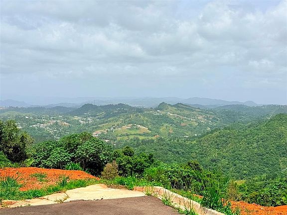 4th image of PR 770 KM 2.9 PARCELA 3 PALO HINCADO