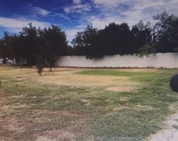 2nd image of 1341 Live Oak St