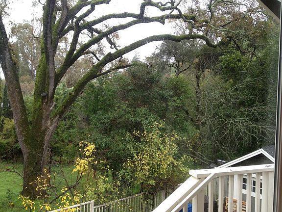view from kitchen