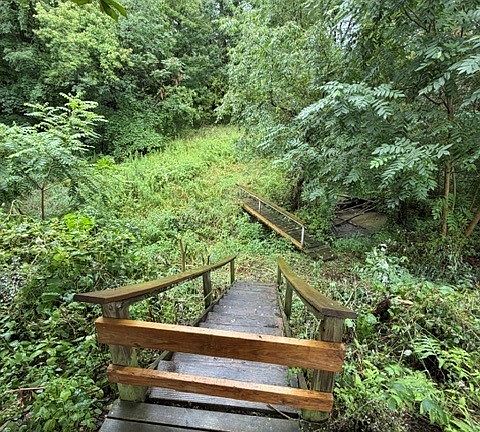 3rd image of 3844 Hamilton Rd