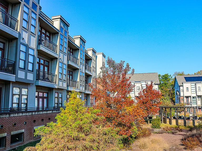 Chapel Hill North — Photo 23
