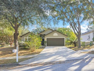 1125 Blackjack Ridge St, Minneola, FL, 34715