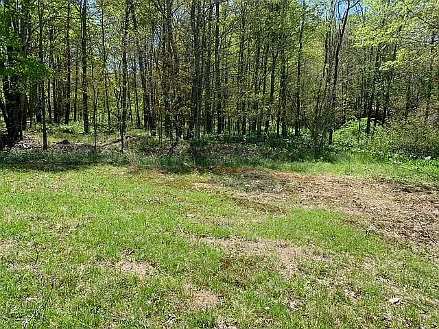133 Matkoskey Dr photo 1