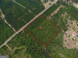 Livingston Farm Rd, Mc Rae Helena, GA 31055