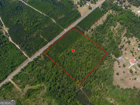 Livingston Farm Rd, Mc Rae Helena, GA 31055