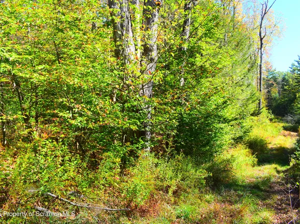 Westwoods Rd, Brackney, PA 18812