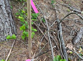 11 Tract Castle, Glenwood, AR 71943