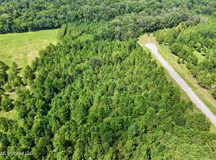 Stout Farm Dr LOT 64, Madison, MS 39110