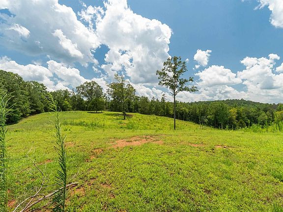 4th image of 1310 County Road 269 #0