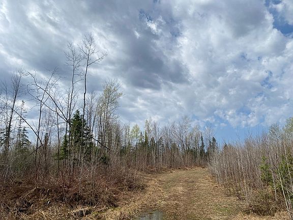 5th image of Near Wilson Lake Rd
