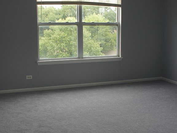 Freshly Painted & New Carpet