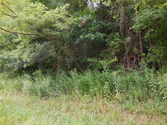 3rd image of 15836 Highway 71 Acres S #8