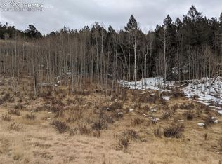 430 Grey Eagle Dr, Cripple Creek, CO 80813