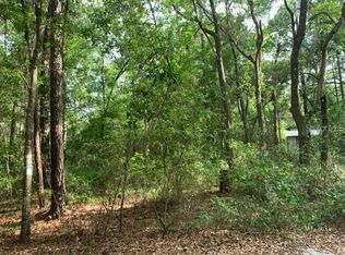 0 NE 226th St Lot 58, Fort Mc Coy, FL 32134