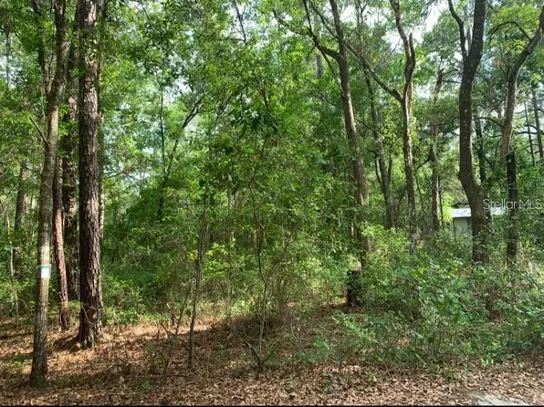 0 NE 226th St Lot 58, Fort Mc Coy, FL 32134