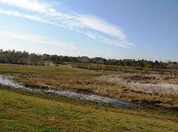 5th image of 13514 Scenic Glade Dr