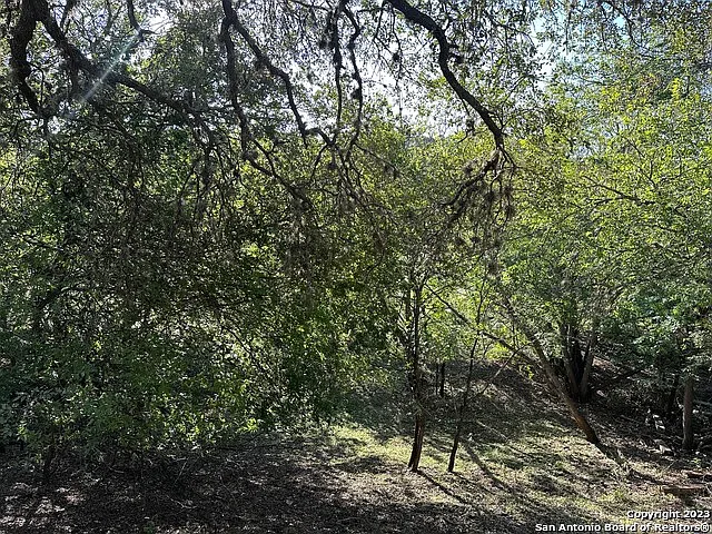 502 Cypress St — Photo 20