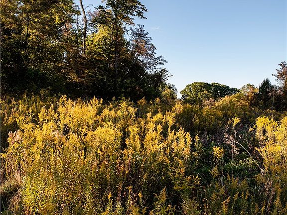 2nd image of 360 Cecil Sturgeon Rd