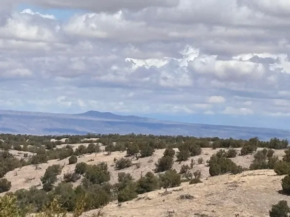LOT 56 Pinon Springs Rd, Magdalena, NM 87825
