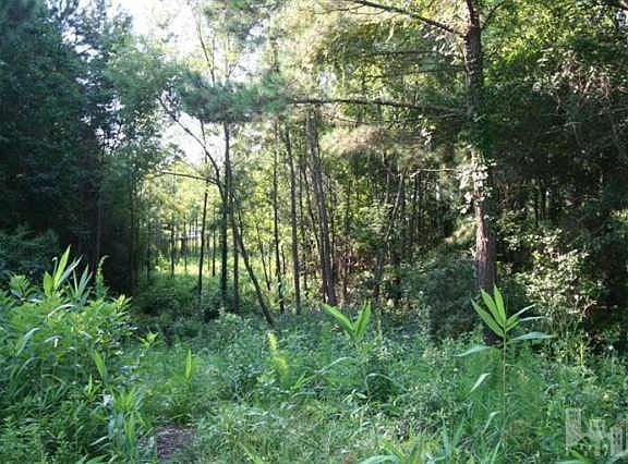 3rd image of 2225 Moreland Dr