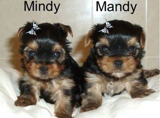 15 Braley Ln, Plymouth, MA 02360