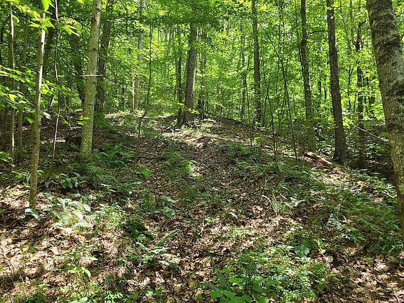 4th image of 10000 N State Road 135 Lot Wp001