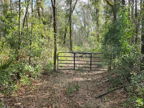 1996 NE 642nd St, Old Town, FL 32680