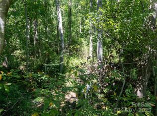 99999 Sweetapple Dr, Fairview, NC 28730