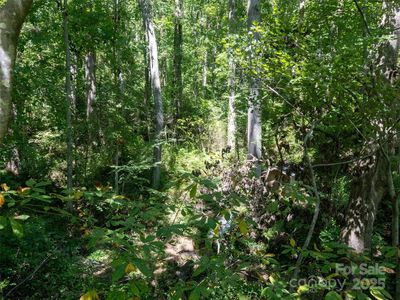 99999 Sweetapple Dr, Fairview, NC, 28730