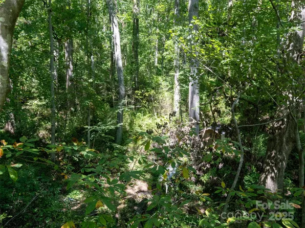 99999 Sweetapple Dr, Fairview, NC 28730