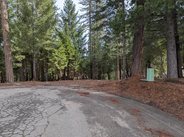 16930 Fairview Ct, Pioneer, CA 95666