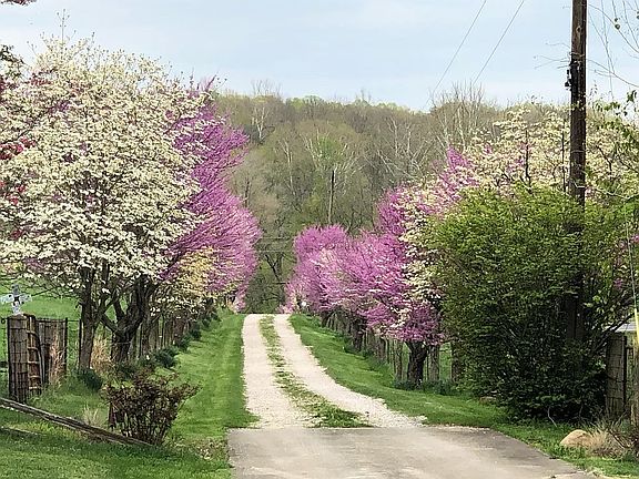 4th image of 2763 N Us Highway 231