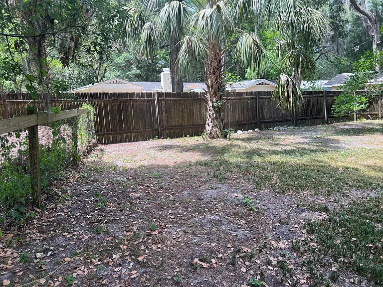 Back yard