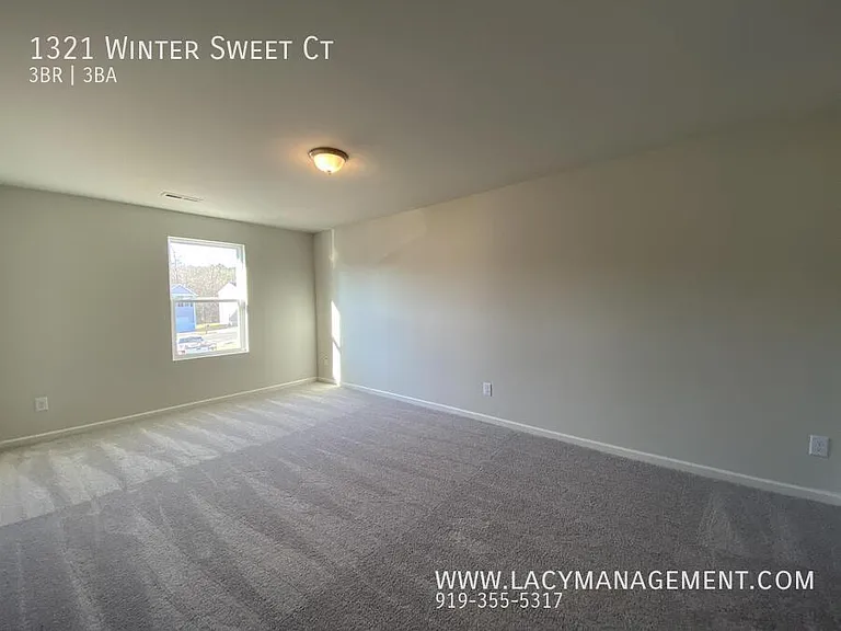 1321 Winter Sweet Ct — Photo 11