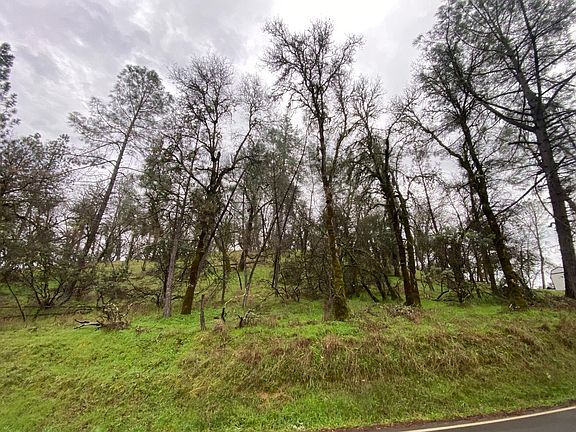 2nd image of 15201 Magnolia Rd