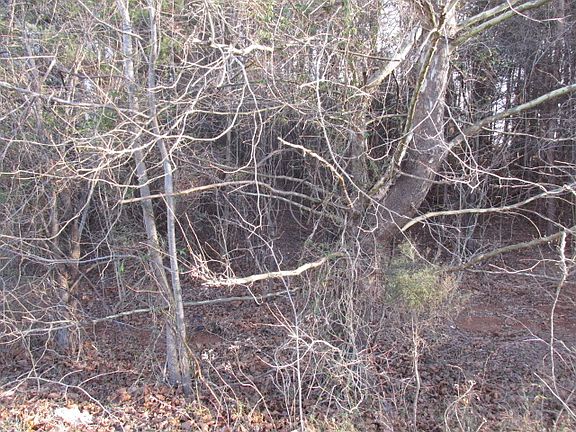 2nd image of Lot 9 St. John's Circle