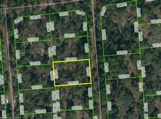 268 Fascination Dr, Lake Placid, FL 33852
