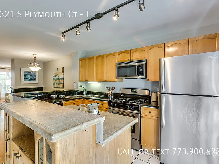 1321 S Plymouth Ct #L — Photo 6
