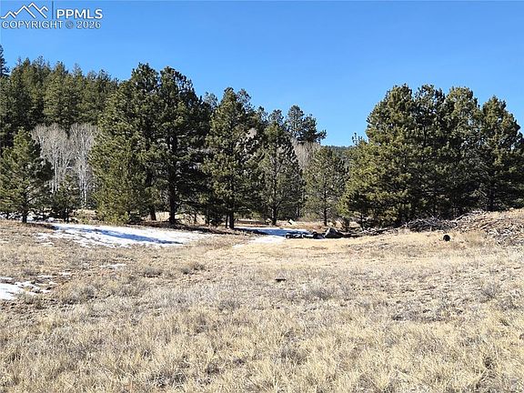 3rd image of 38340 Highway 24