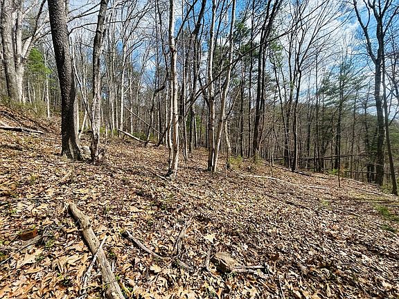 4th image of Tbd Julia Simpkins Rd