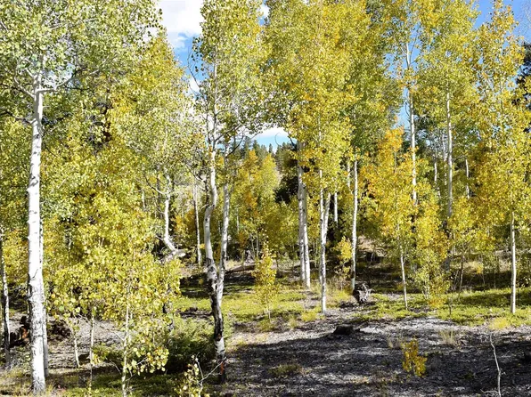 5460 County Road 10, Twin Lakes, CO 81251