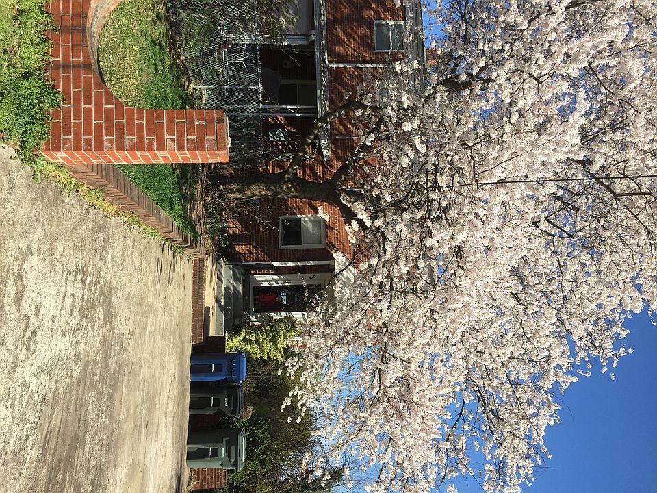 Spring time at Ingram