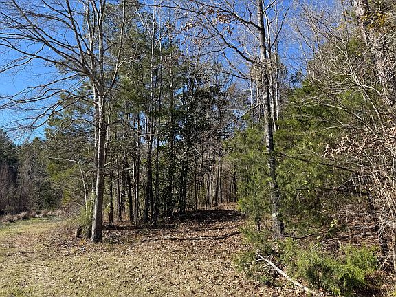 2nd image of Magnolia Al Magnolia Al