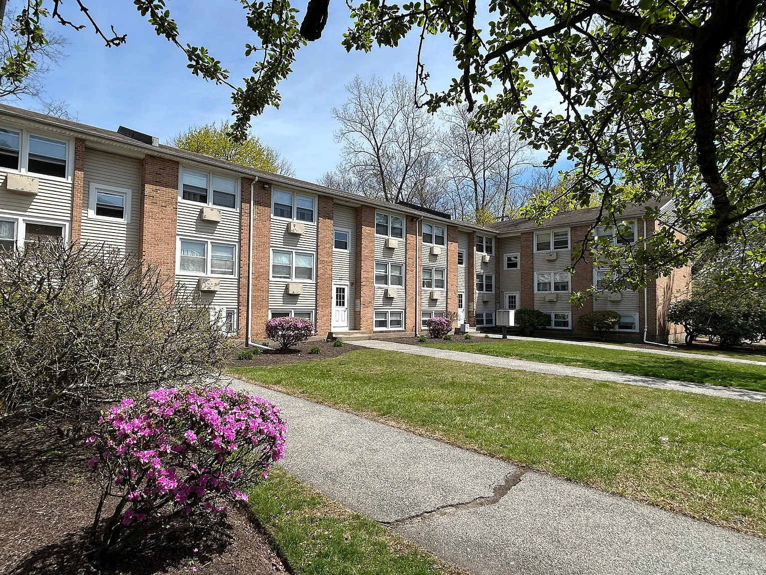 1 bed, 700 sqft, $1,350 — Photo 2
